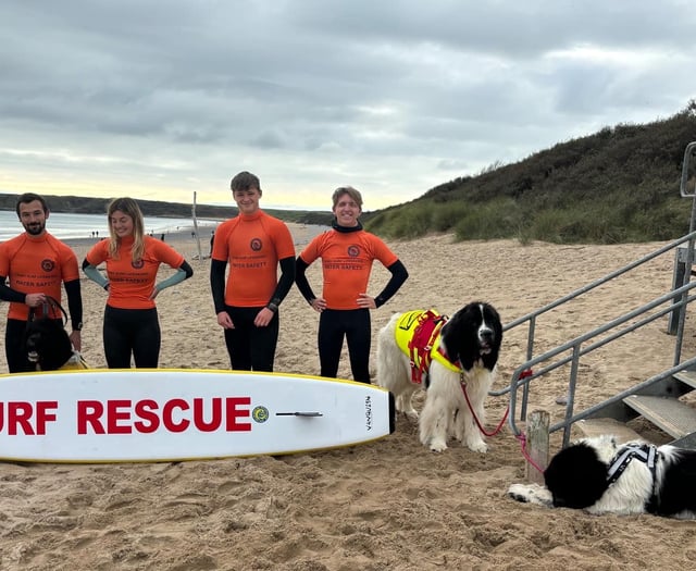 Tenby Surf Lifesaving Club members join pooches for rescue training