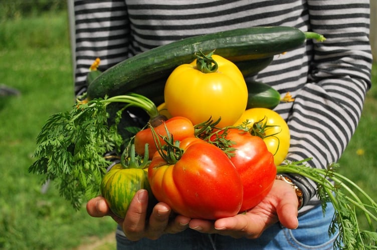 veg