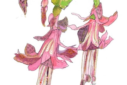 Christmas Cactus by Judy Maynard
