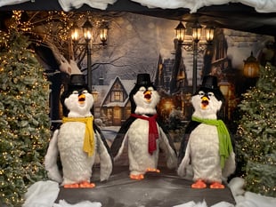 Penguins sing carols for charity at Haverfordwest store!