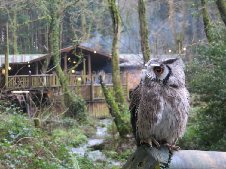 The Narberth resort understands that the race to net zero and biodiversity are inextricably linked.