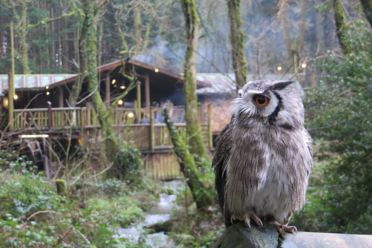 The Narberth resort understands that the race to net zero and biodiversity are inextricably linked.