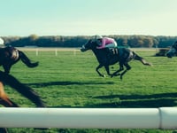  Ffos Las among top 10 racecourses with  biggest increases in searches