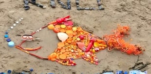 Fish made up of 362 pieces of plastic