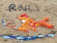 Fish made up of 362 pieces of plastic