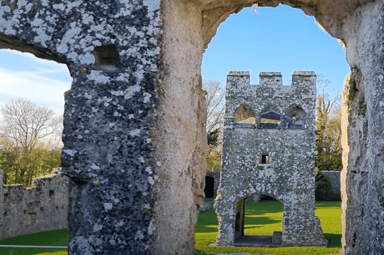 Still from video - visit www.youtube.com/@ClareSimion