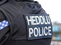 Saundersfoot man assaulted police officer