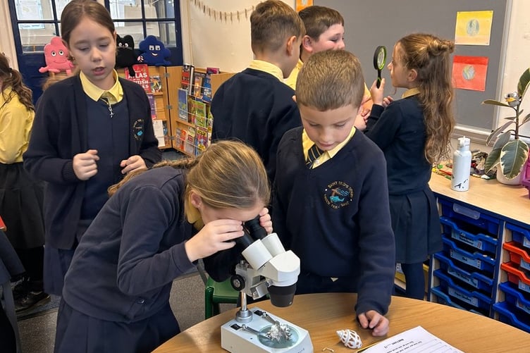 Dosbarth Giltar, St Teilo’s School Tenby, using stereomicroscope to examine shells