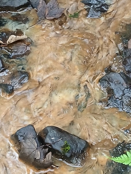 The polluted stream at West Wales Woods, near Carmarthen