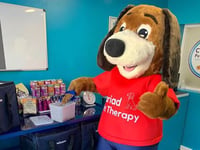 Call to end ‘fad’ of permanent ‘school dogs’