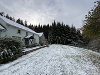 Farmstead for sale in forest is "Narnia-esque" duo of homes