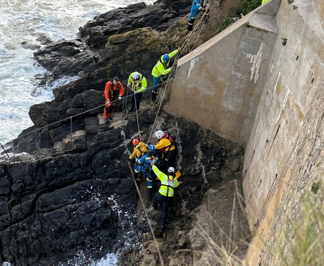 WATCH: Tenby RNLI & Coastguard rescue dog walkers cut-off by the tide
