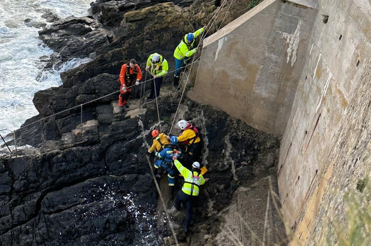 dog walkers rescued