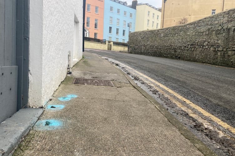 Dog poo blue Tenby