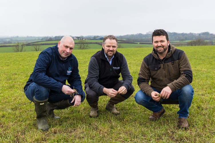 Pictured left to right at Gellyolau Farm in Clynderwen, Pembrokeshire, celebrating the launch of the project: Matthew Faulkner, Factory Manager of the Nestlé Waters and Premium Beverages site in Princes Gate, Michael Smith, First Milk Vice Chairman and Farmer Director and First Milk member and project participant, Daniel James