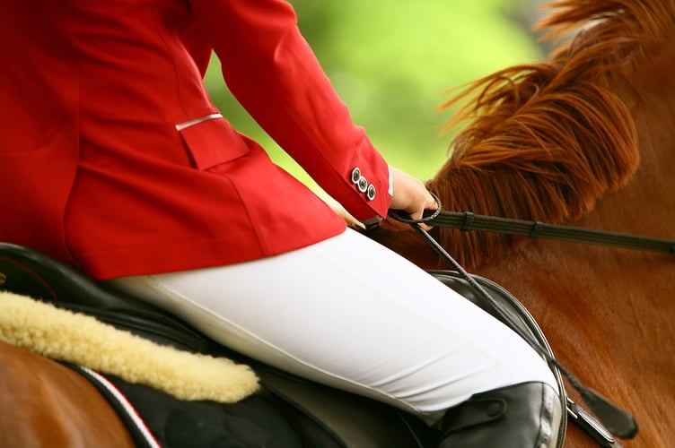 horse training