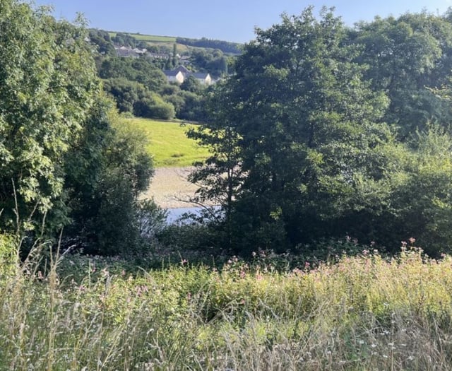 Carmarthenshire amphitheatre plans approved