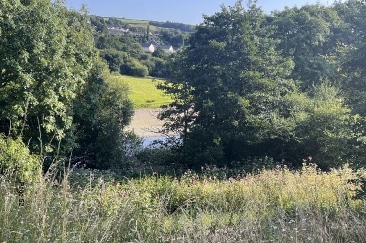 Embankment above the River Teifi, Newcastle Emlyn, where a new amphitheatre is to be built (pic Carmarthenshire Council and free for use for wire partners) 
