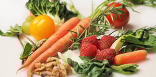 Carmarthenshire council chiefs asked to endorse more plant-based foods