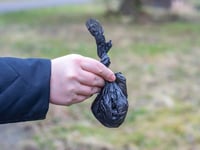 Carmarthenshire riverside 'decorated' with dog poo bags