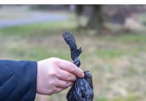 Dog owners turn Carmarthenshire riverside into 'Christmas tree' with poo bags