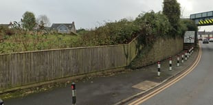 Pembroke allotment scheme approved by county planners