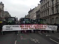 Editorial: Chalk one up for the good guys