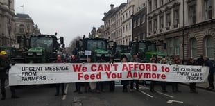 Editorial: Chalk one up for the good guys