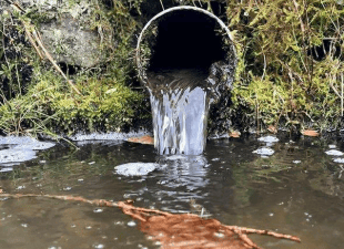The disgrace of our clean water and green agencies