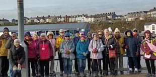 Fine February for Steps2Health