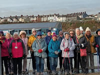 Fine February for Steps2Health