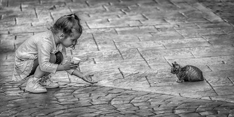 Jan Sullivan (Tenby Camera Club) - A Handful of Kindness