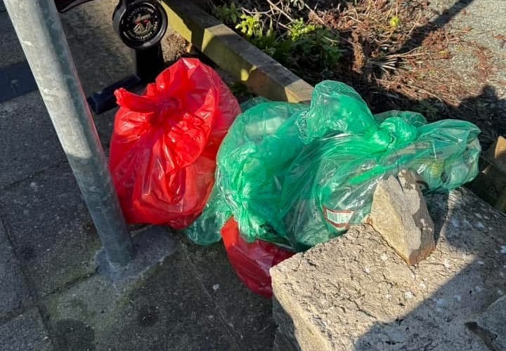 With bags filled to the brim and smiles all around, volunteers gathered back at the harbour for a celebratory refreshments, where they shared their experiences and discussed future plans for environmental initiatives in Saundersfoot.