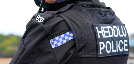 Police seek information on Pembroke Dock garden thefts