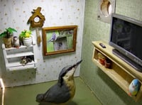 Bird box given quirky makeover by wildlife champion, Kate