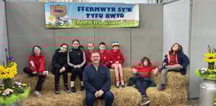 Pembrokeshire children learn potato farming
