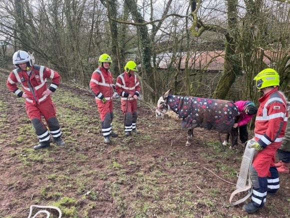 Firefighters in Carmarthenshire rescue trapped donkey