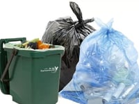 Waste collection 'chaos' prompts Carmarthenshire review