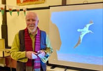 Tenby wildlife expert Mick Brown calls for fireworks ban to protect animals