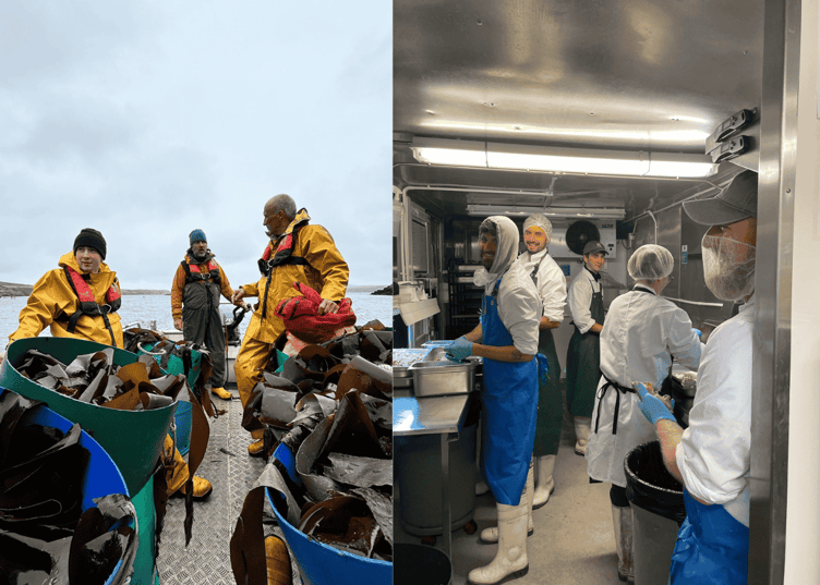 Câr-Y-Môr is helping to advance Wales’ £105M Regenerative Sea farming Industry, and has launched a crowdfunder to support growth.