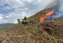 Prevent Mid and West Wales wildfires, warns Wales Wildfire Board
