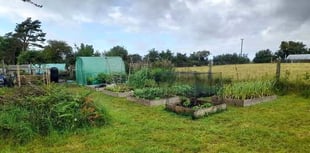 Pembrokeshire urged for more allotments