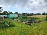 Pembrokeshire urged for more allotments