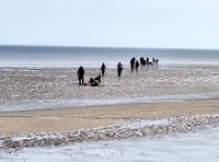 Fresh concerns after 'scavengers' rinse Saundersfoot's seabeds