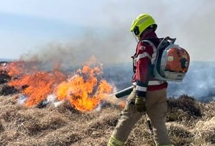 High winds fuel Pembrokeshire grass fire