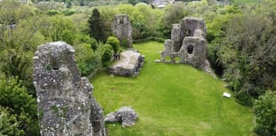 Narberth councillors hopeful town's castle will reopen soon