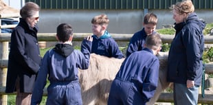 WATCH: Pembroke Dock pupils enjoy farm stay with special Royal visitor