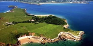 Caldey Island trees felled for safety