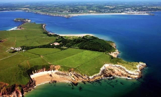 Caldey Island trees felled for safety