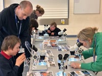 Magical marine workshop at Portfield School